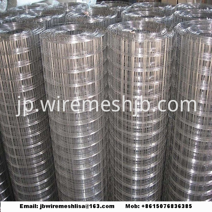 304 Stainless Steel Welded Wire Mesh